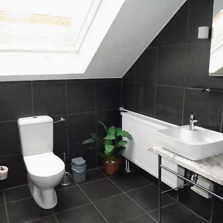 Urban Living Unter Den Daechern Der Goettinger Altstadt Privat bolig Göttingen