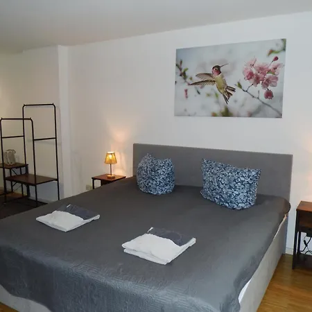 Urban Living Unter Den Daechern Der Goettinger Altstadt ホームステイ *