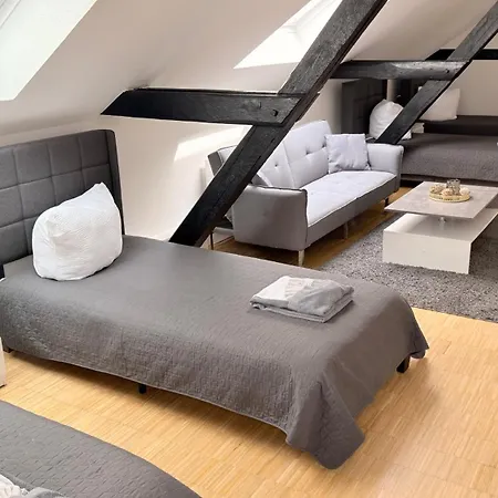 Urban Living Unter Den Daechern Der Goettinger Altstadt * Göttingen